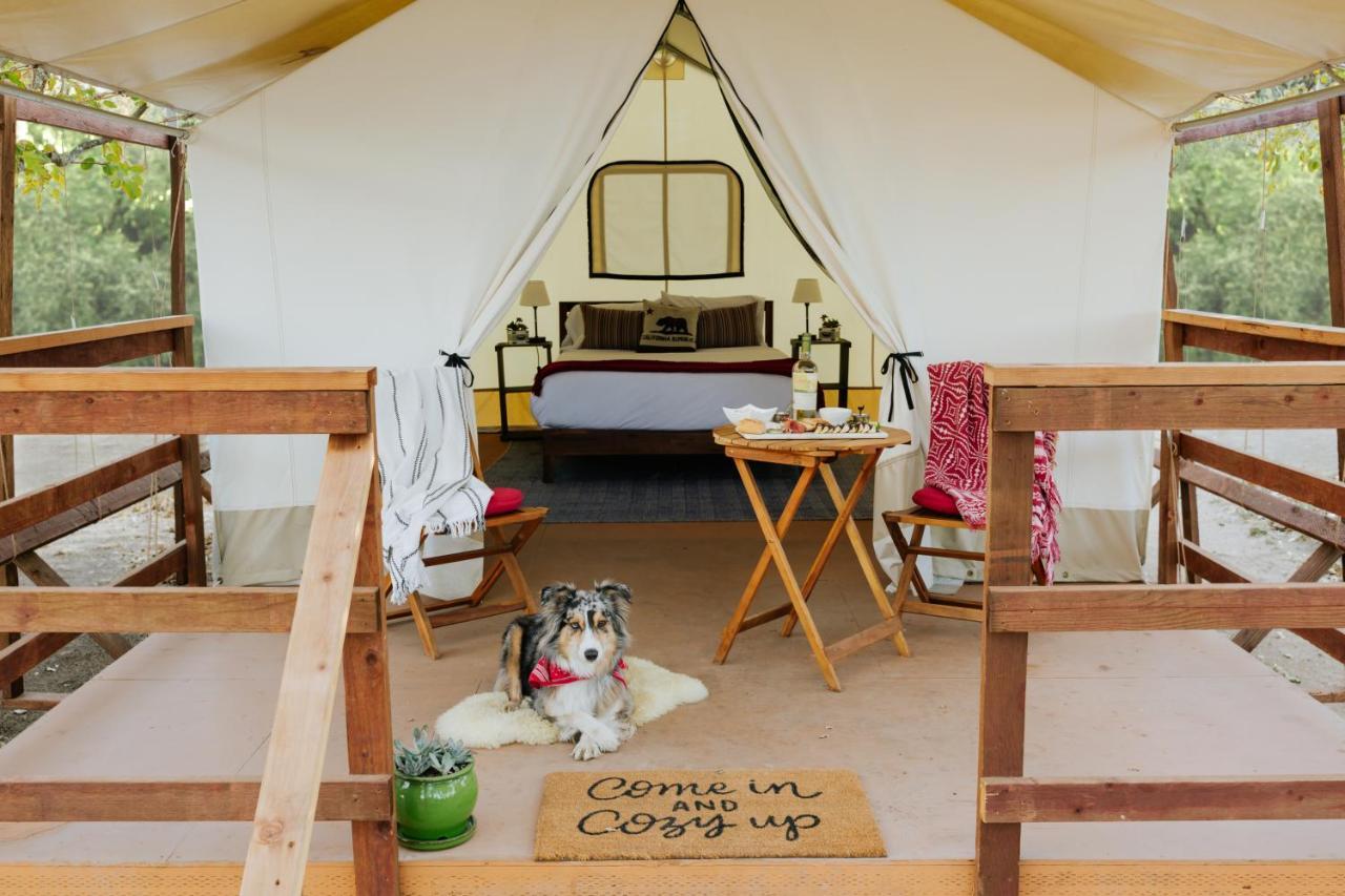 Wildhaven Sonoma Glamping Campsite Healdsburg