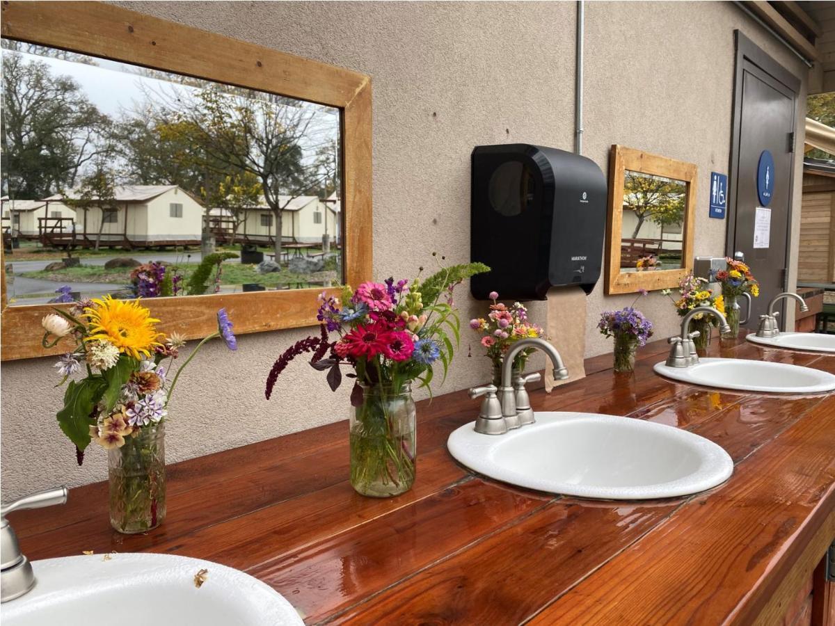 Campsite Wildhaven Sonoma Glamping Healdsburg