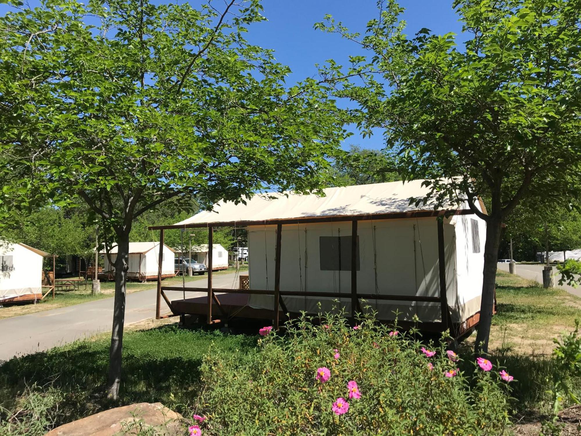 Wildhaven Sonoma Glamping Campsite