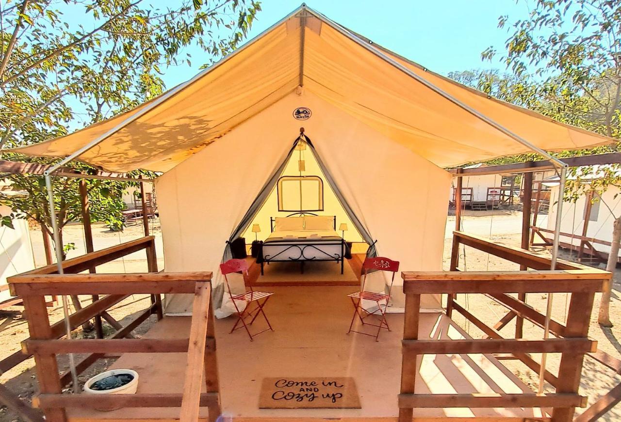 Wildhaven Sonoma Glamping Campsite Healdsburg